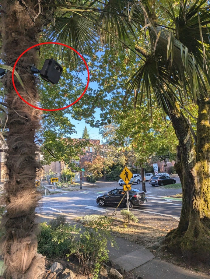 traffic monitor mounted on tree in neighborhood